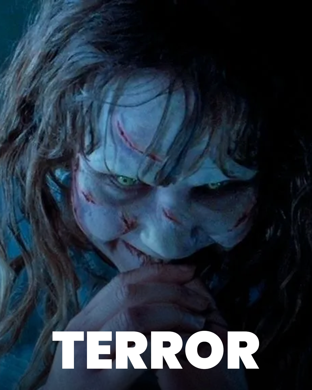 Terror